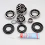 Differential repair kit 188L • BMW 135i 335i X5 & other |2008-2018|