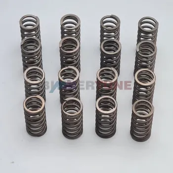 Stiffer valve springs N47 B47 • BMW 125d 320d 23d 25d & other |2008 to 2020|