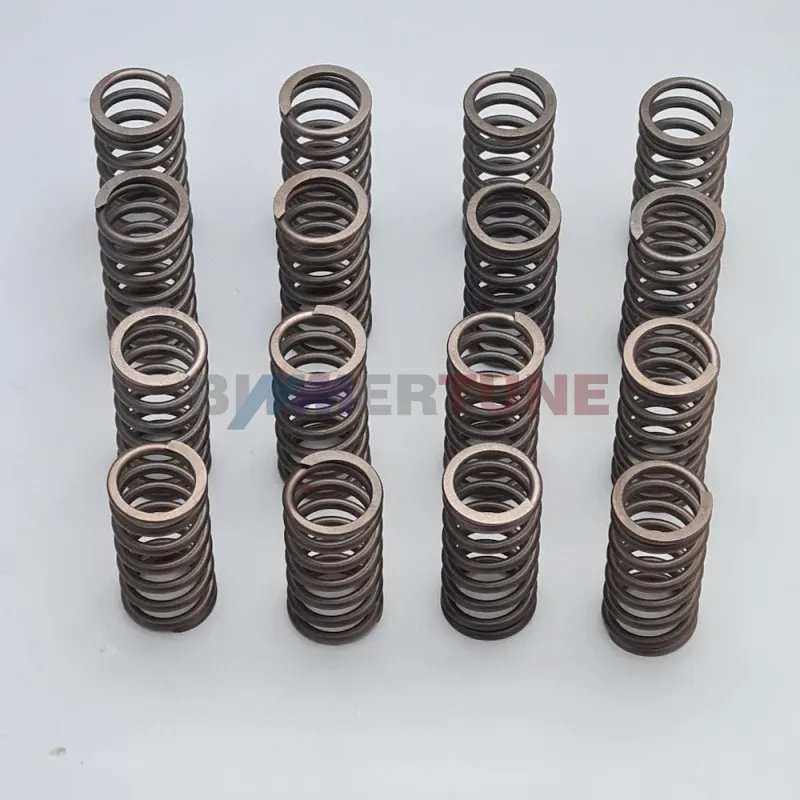 Stiffer valve springs N47 B47 • BMW 125d 320d 23d 25d & other |2008 to 2020|
