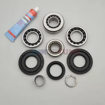Differential rebuild set 168L • BMW 118d 120i 320i 320d & other |2008-2018|