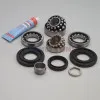 Differential rebuild set 168L • BMW 118d 120i 320i 320d & other |2008-2018|