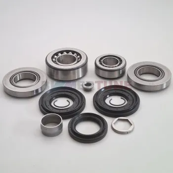 Differential rebuild set 215L • BMW 330d 335d 530d 535d & other |2008-2018|