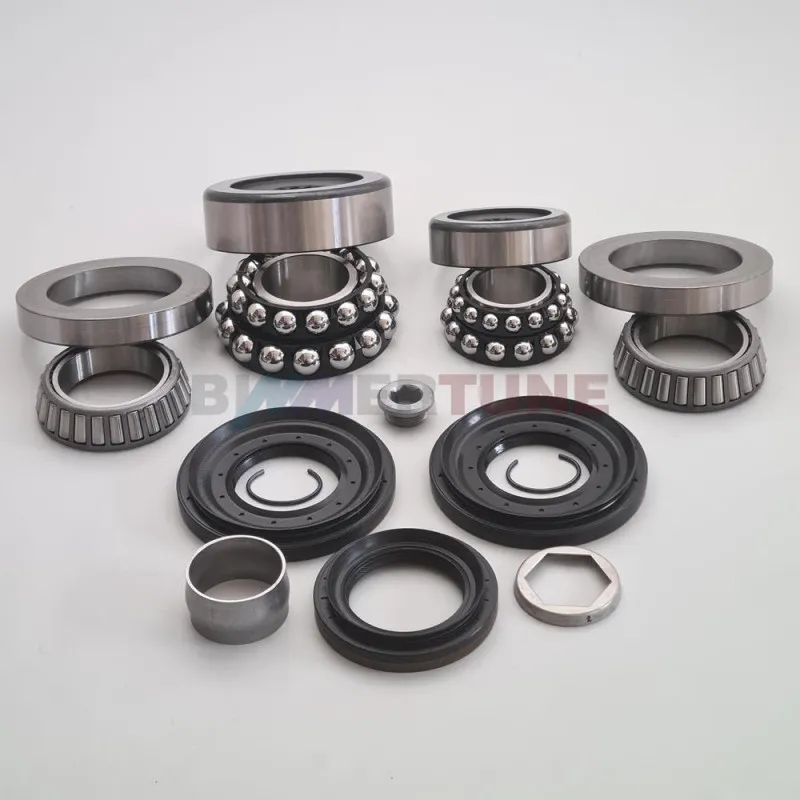 Differential rebuild set 215L • BMW 330d 335d 530d 535d & other |2008-2018|